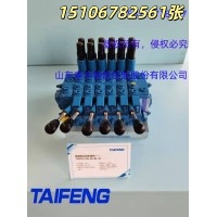 山东泰丰供应TRS20多路阀工厂直销欢迎订购