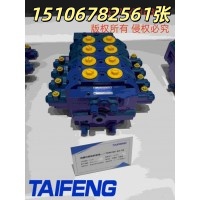 山东泰丰TRS10-BX-09多路阀优惠多多