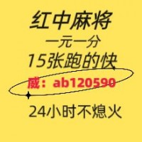 重大新闻哪里有手机麻将群@2025已更新哔哩哔哩