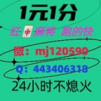 《今日推荐》24小时一元红中麻将（微博，知乎）