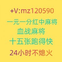 鸟语花香广东正规红中麻将一元一分2025已更新