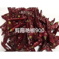 山东艳椒900批发价格