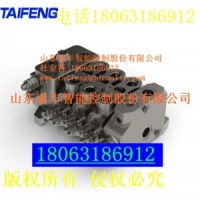 泰丰智能供应邯郸市玉柴挖掘机用TRM15多路换向阀