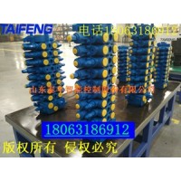 TRM20-BX-02-YJH-02两联多路阀生产厂家泰丰液压