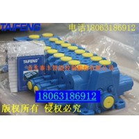 多路阀生产厂家泰丰液压TRM15-BX-02-XL-06量大价优