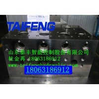 山东泰丰液压公司供应油压机用二通插装阀YN32-315HGLBCV