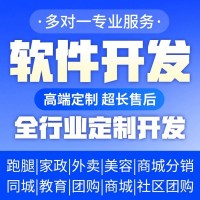 软件开发app开发定制物联网可视化大屏小程序管理系统erp开发网站