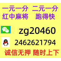 【德高望重】红中麻将跑得快群@技巧解读