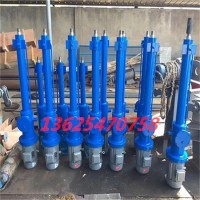 济宁直销DTZ500-200电动推杆