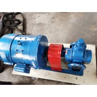 齿轮油泵 大流量易操作 天一泵业