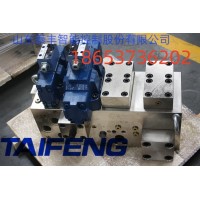 山东泰丰供应100T折弯机插装阀TF10032Y-00a