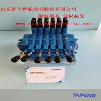 山东泰丰智能TRM10系列流量共享型多路阀