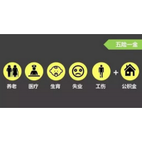 绍兴劳务派遣机构，绍兴员工社保代理，绍兴五险一金代缴