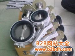 KITZ蝶阀1