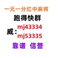 （广东麻将）靠谱两人跑得快群（不·抵押）