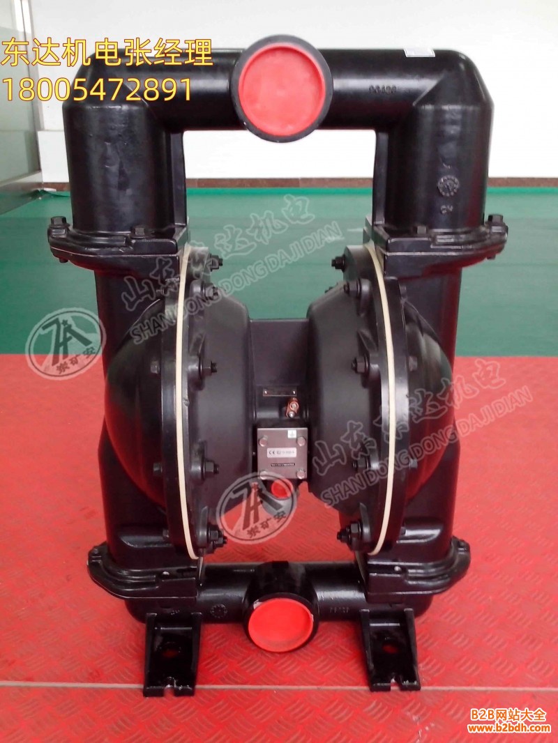 气动隔膜泵1 (1)