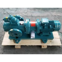磁力圆弧齿轮泵 不锈钢化工泵
