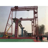 广东深圳510 吨龙门吊：技术创新的典范