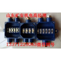 岽达BHD-10/127-28G矿用隔爆型低压电缆接线盒