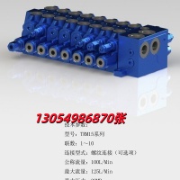 多路阀TRM20